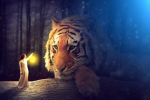 Fear and Illusion